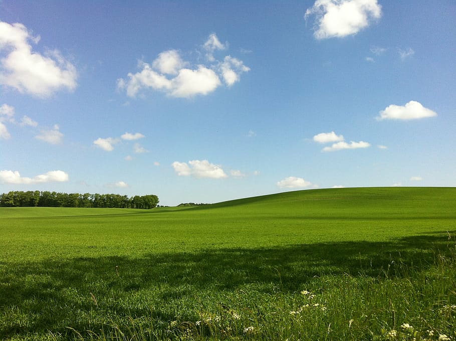 nature, sky, grass, clouds, meadow, summer, rural Scene, outdoors HD wallpaper