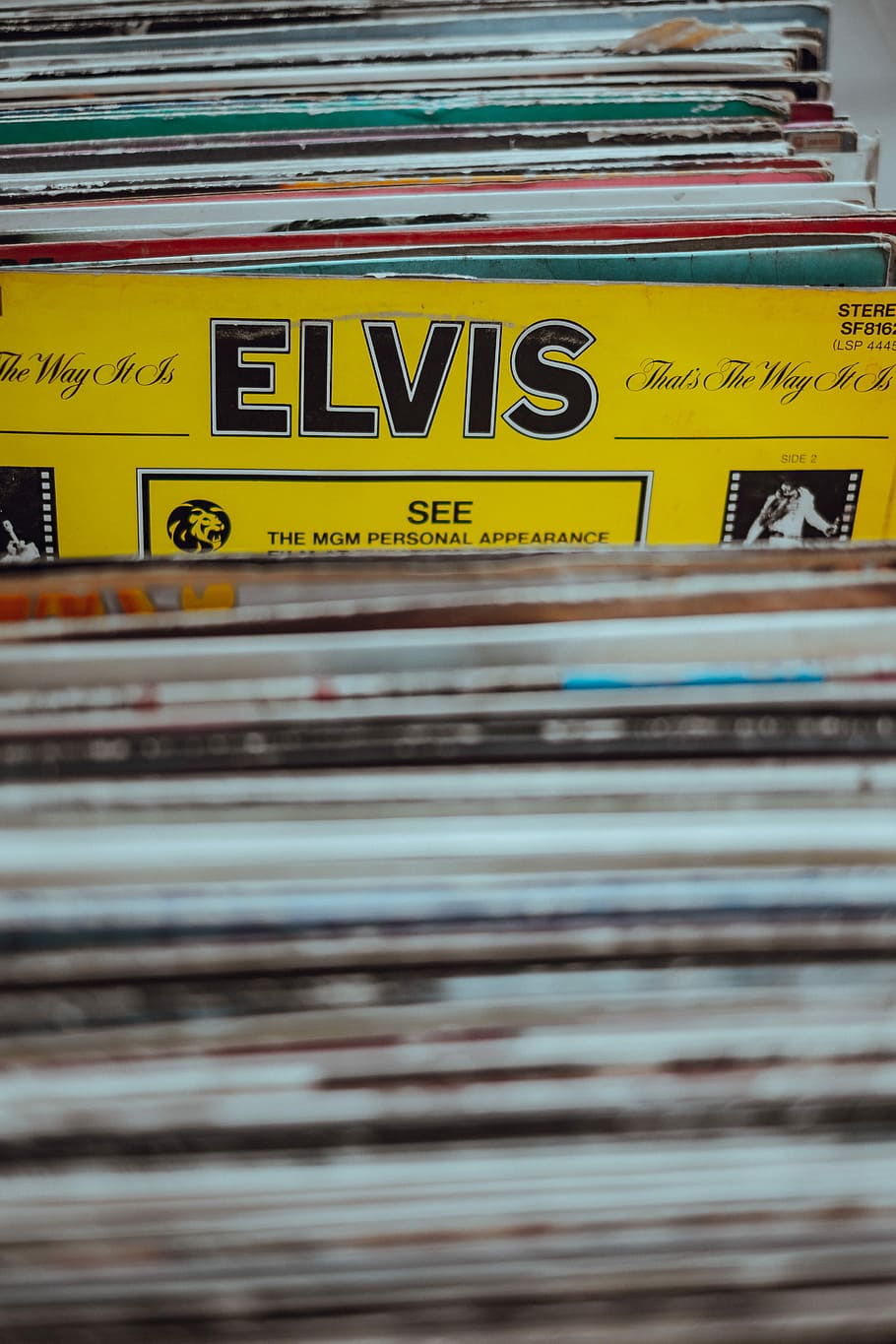 Elvis vinyl sleeve, assorted music sleeves, record, record collection