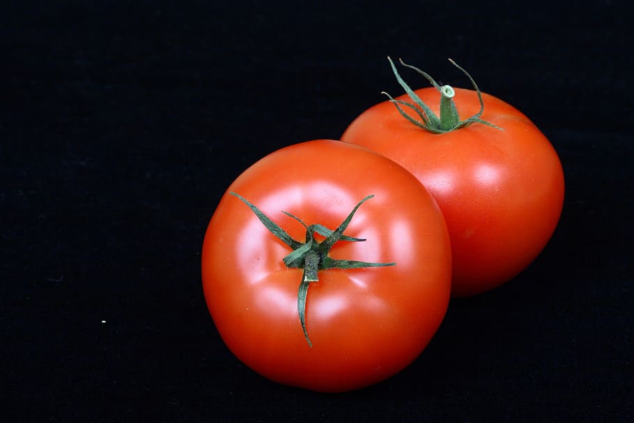 two red tomatoes, vegetable, food and drink, fruit, healthy eating HD wallpaper