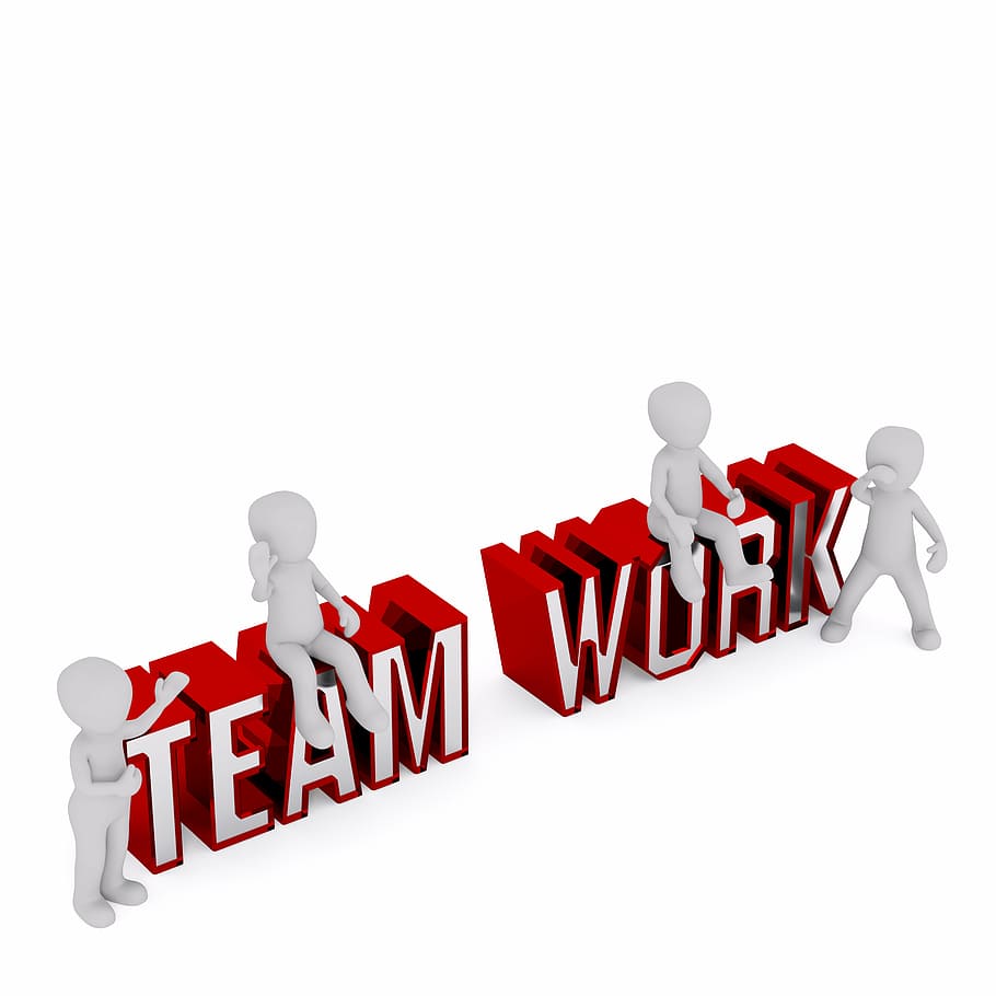 Steam Work text on white background, teamwork, team spirit, together