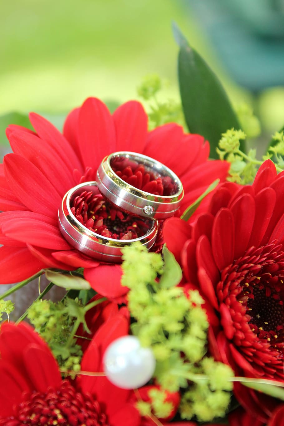silver-colored bridal band rings on red Gerbera daisy flower