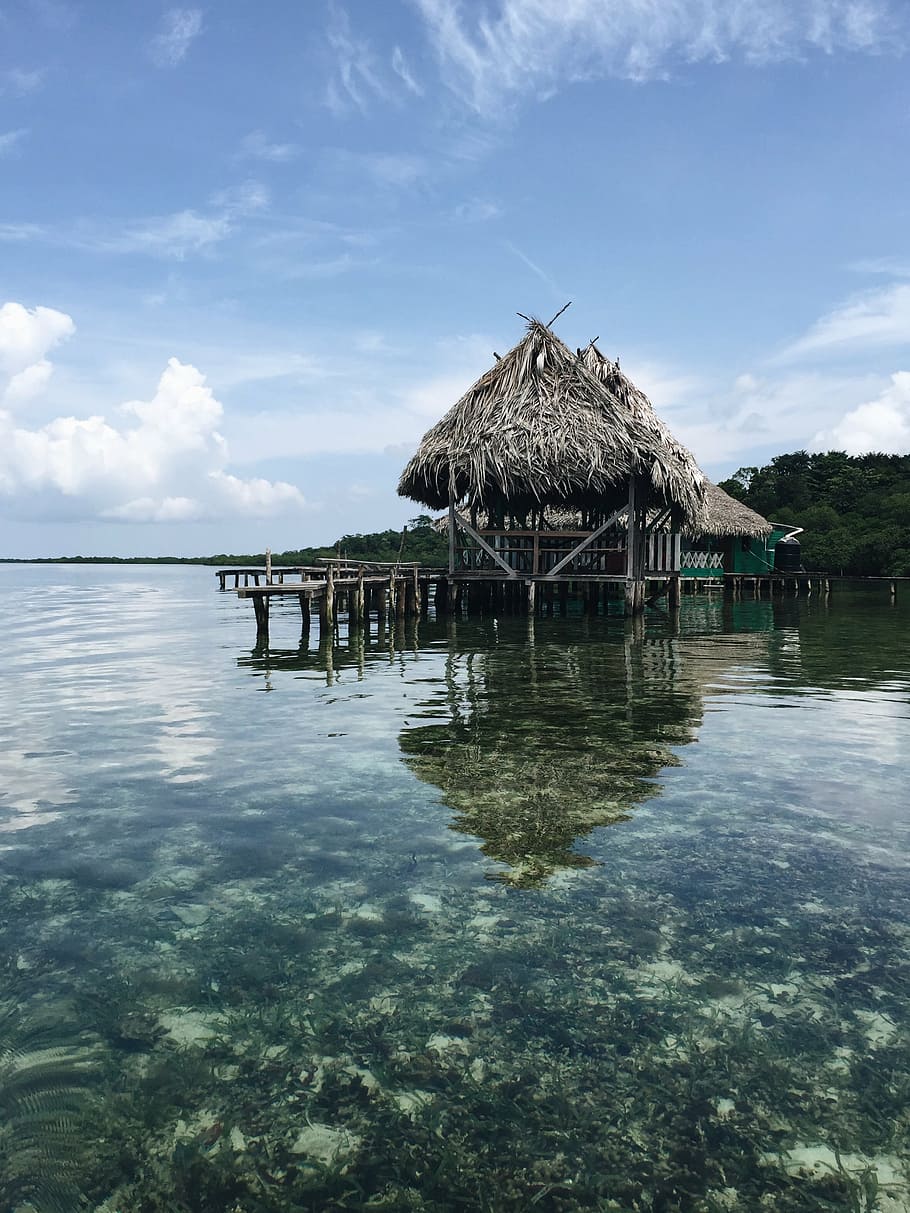 black cottage on body of water, hut, vacation, clear, corals, HD wallpaper