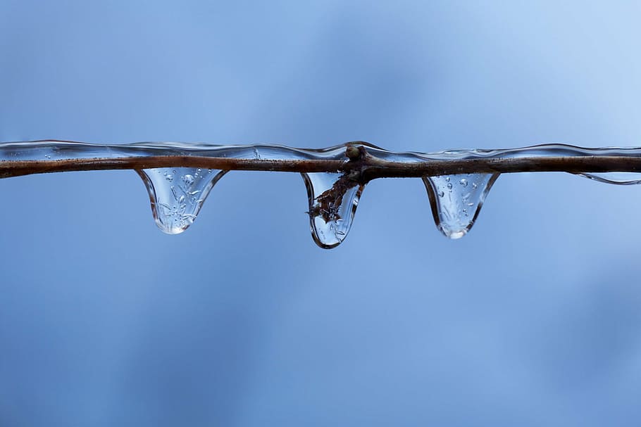 branch, cold, crystal, detail, drop, drops, frost, frozen, ice HD wallpaper