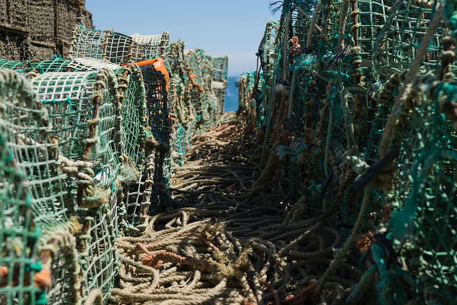 untitled, fishing, net, rope, sea, sunny, day, fishing Industry HD wallpaper