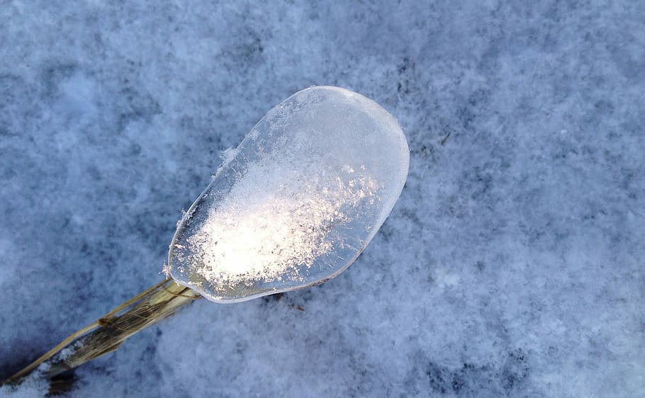 Winter, Ice, Snow, Gräsö, isformation, reed, snowy, white HD wallpaper
