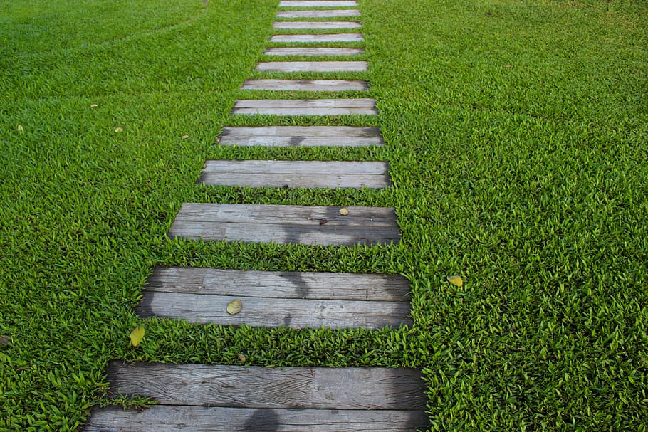 brown wooden pathway during daytime photo, garden path, steps HD wallpaper
