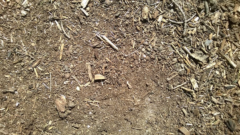 mulch, ground, background, high angle view, day, no people HD wallpaper