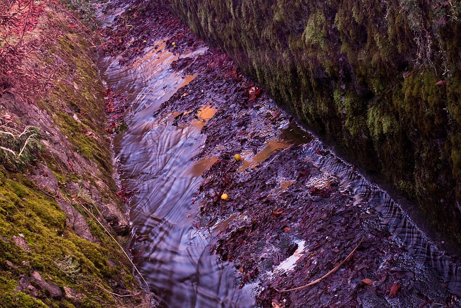 bacj, channel, stream bed, water, bach, moss, nature, landscape HD wallpaper