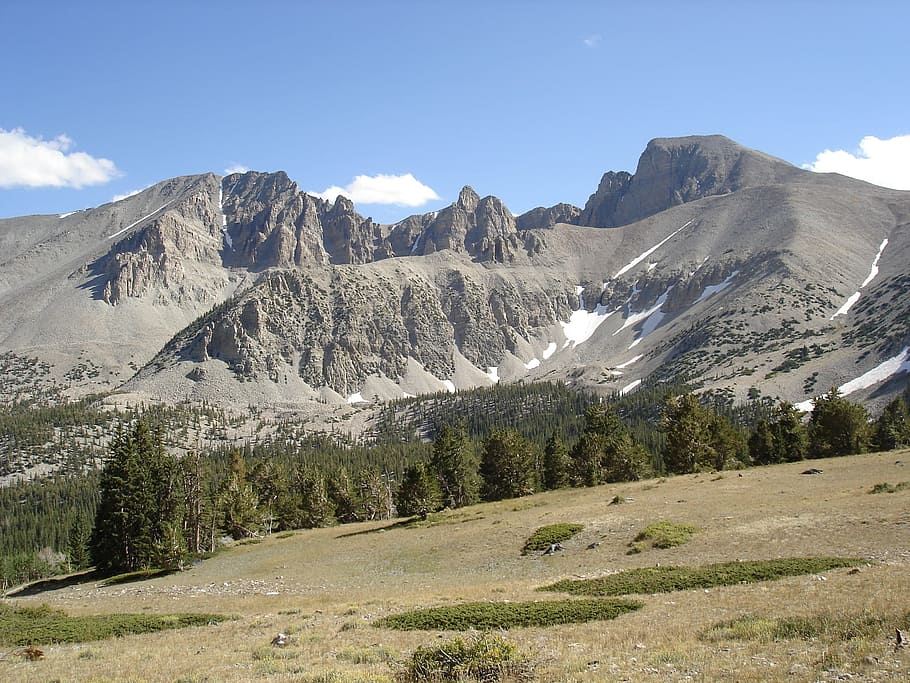 Nevada, Mountains, Valley, Forest, Trees, nature, outside, summer HD wallpaper