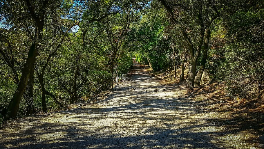 Path, Trail, Shadow, Nature, Forest, adventure, unknown, sunlight HD wallpaper