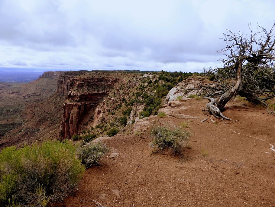 landscape, nature, roche, option, canyon, sky, travel, tree HD wallpaper