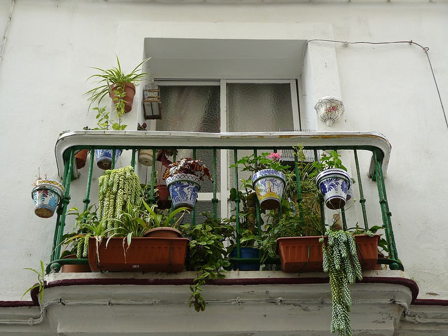 balcony, exterior decoration, hanging basket, holiday, accommodation, HD wallpaper