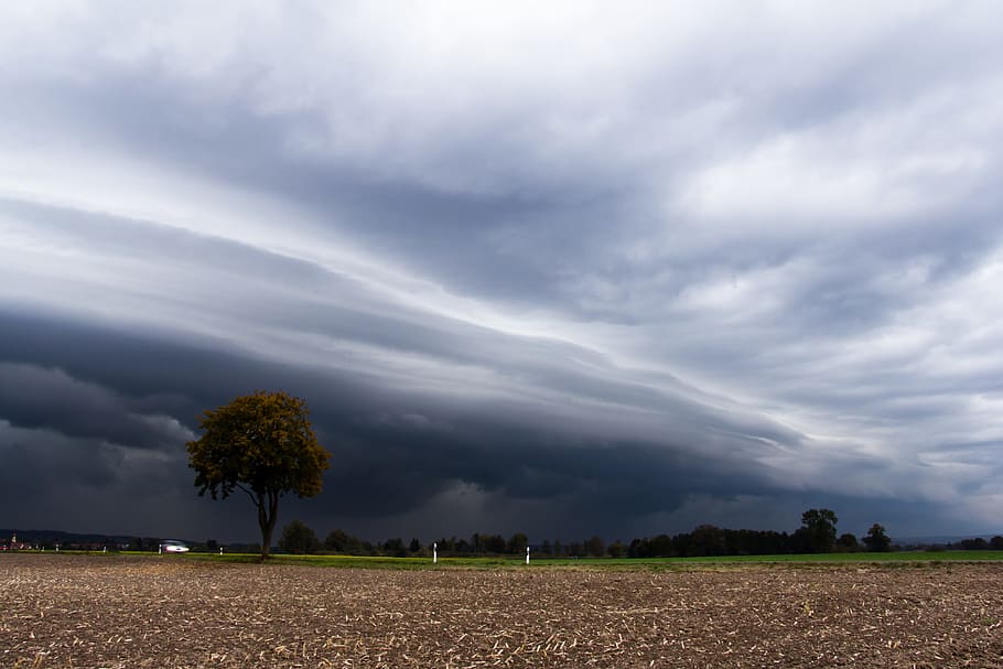 cumulonimbus, storm hunting, meteorology, thunderstorm, shelf cloud