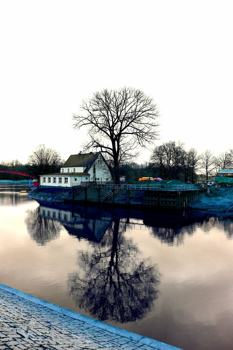 tree, river, nowa sól, port, landscape, water, nature, krajoobraz HD wallpaper