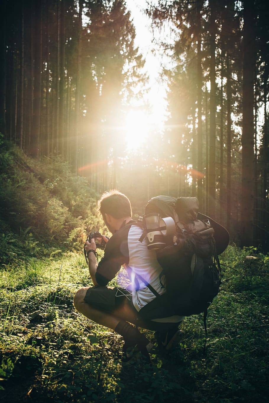 man taking a squat and taking a photo of grass at golden hour, man with backpack sitting while holding camera at the forest HD wallpaper