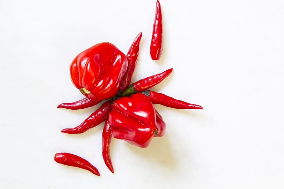 cooking, papricka, pepper, red, spice, chili pepper, red chili pepper HD wallpaper