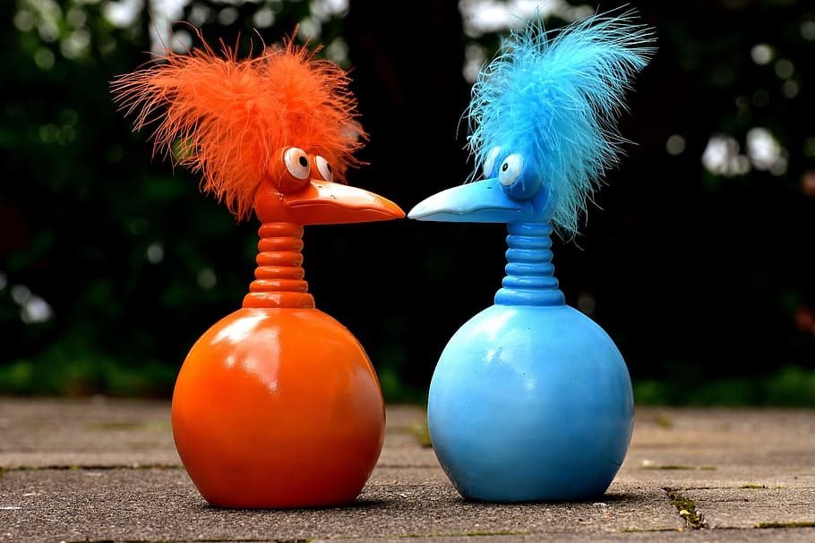 jokers, orange, blue, funny, weird bird, cute, feather, decoration HD wallpaper
