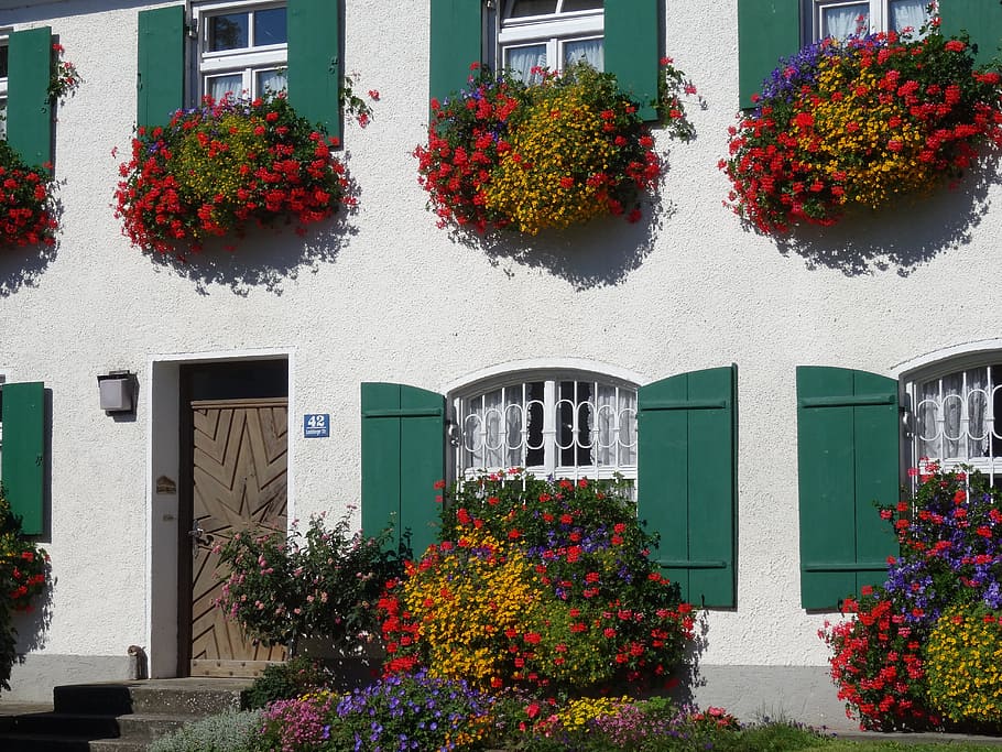 home, facade, floral decorations, shutter, balcony plant, geranium HD wallpaper