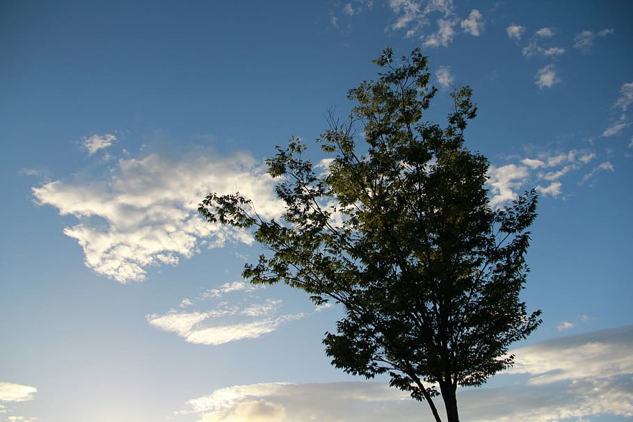 Hiroki, Japan, Evening, View, Blue Sky, evening view, green HD wallpaper