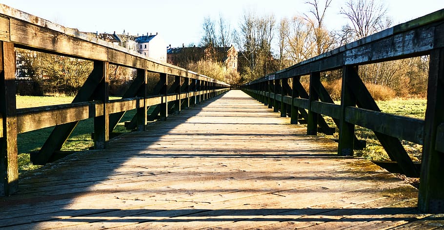 wooden bridge, web, middle franconia, fürth, autumn, the way forward, HD wallpaper