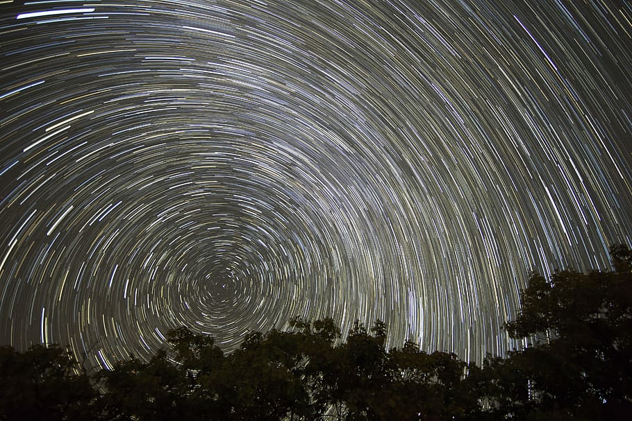 trees under starry night artwork, timelapse photo of stars, space HD wallpaper