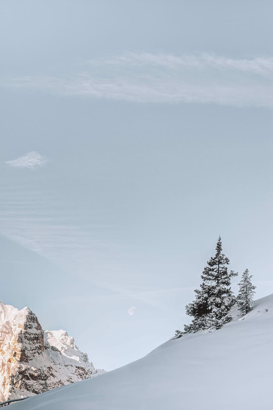 white snowy mountain under white sky during daytime, snow covered tree near mountain HD wallpaper