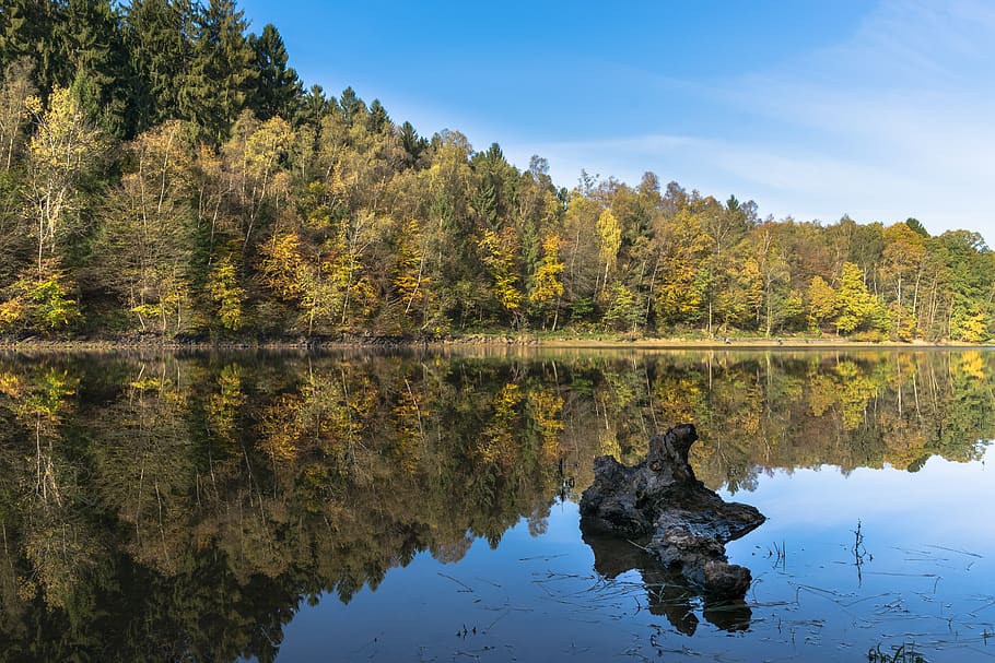 water, lake, nature, reflection, reflections, forest, waters HD wallpaper