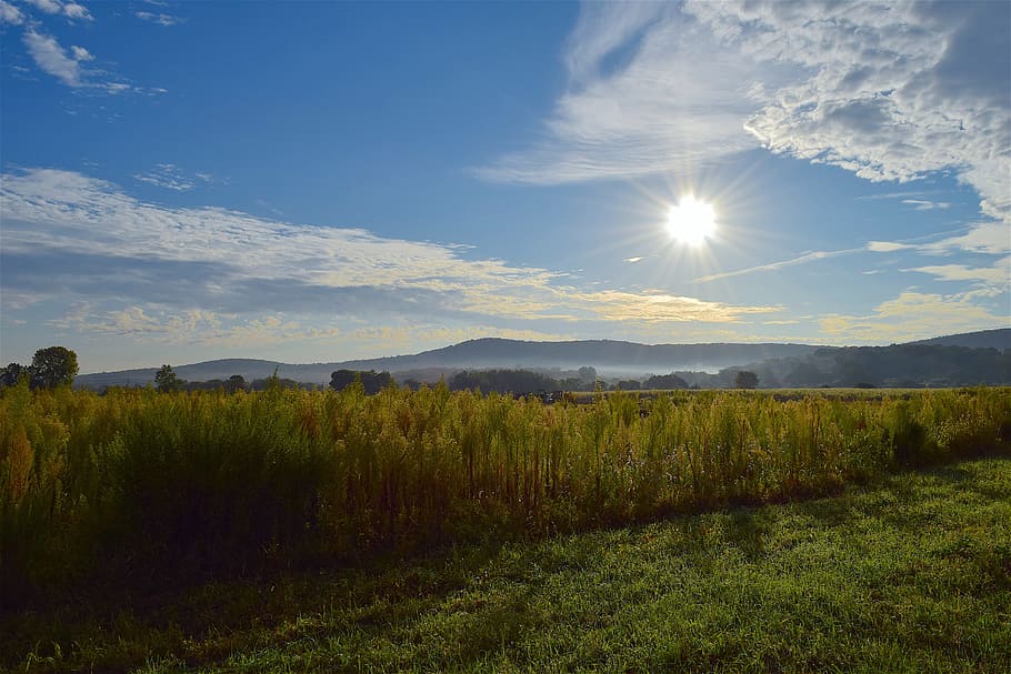 sunrise, field, sky, clouds, nature, summer, landscape, sunlight HD wallpaper
