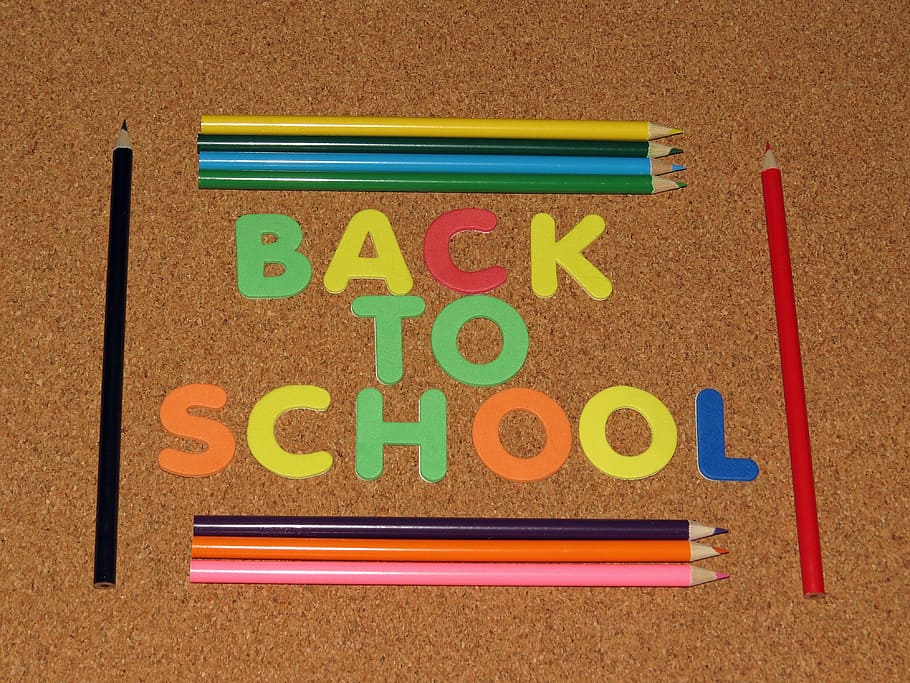 back to school decorations, learning, colorful, pencil, back to school background, HD wallpaper