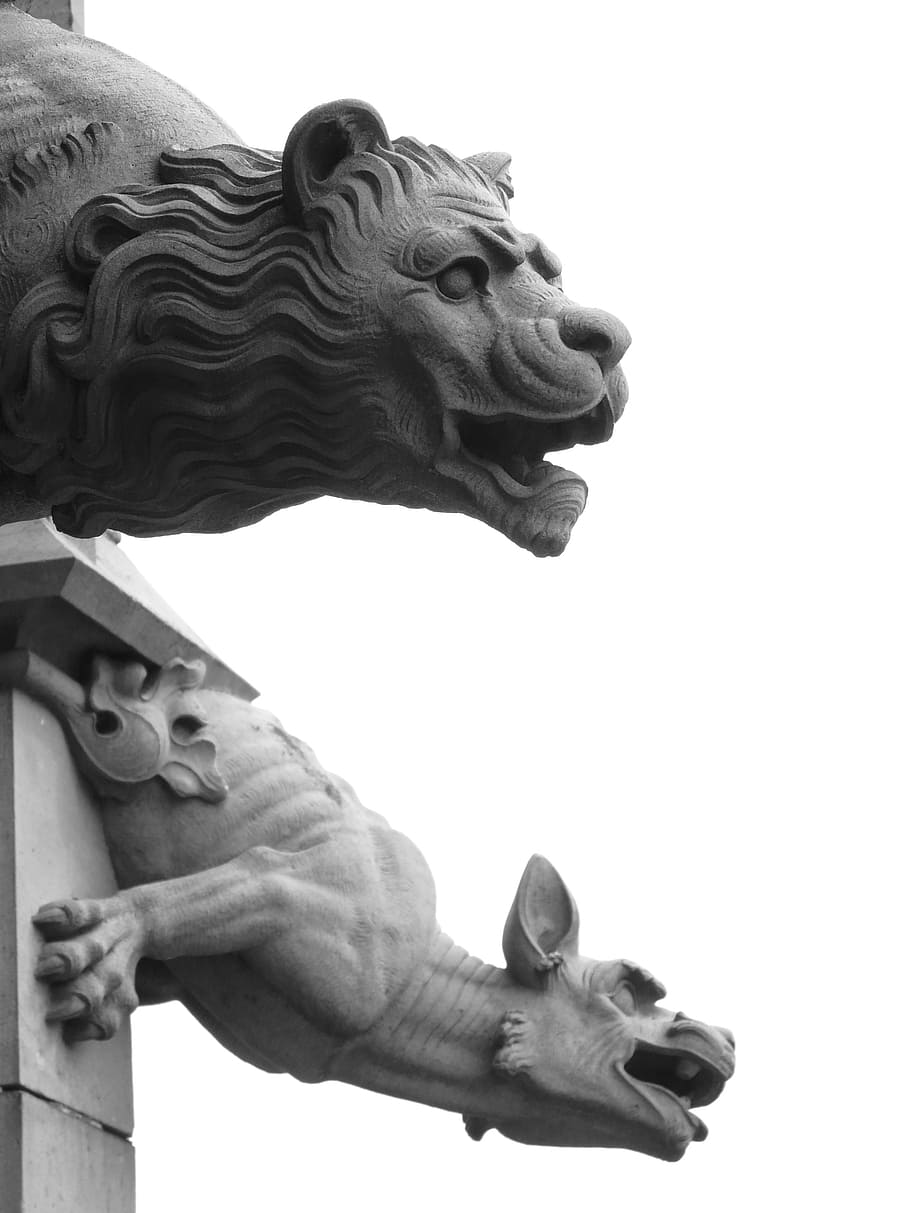 gray scale photo of statue, gargoyle, figure, lion, ulm cathedral HD wallpaper