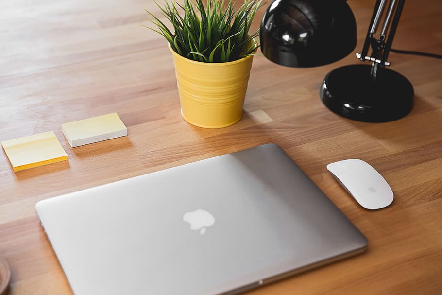 apple, desk, laptop, macbook, computer, lamp, mouse, paper, plant HD wallpaper