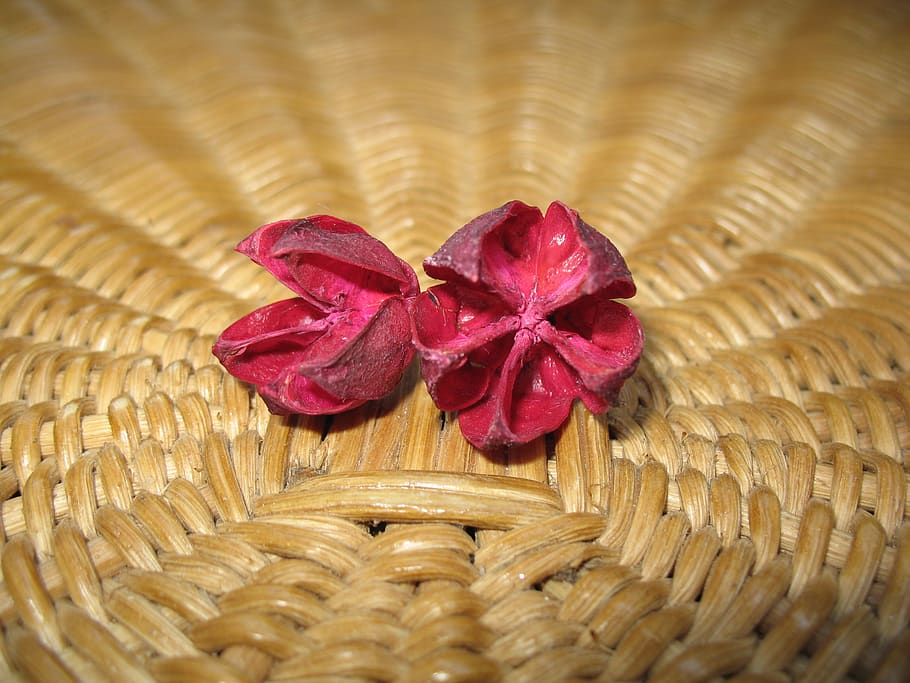 flowers, macro, decoration, close-up, container, basket, no people HD wallpaper