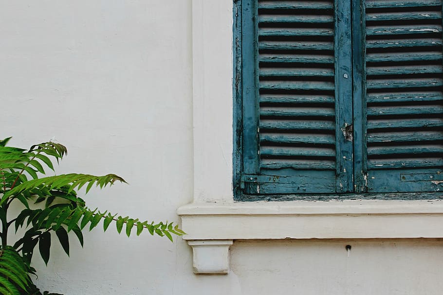 green leafed plants beside blue wooden window, closed teal wooden window with green plants HD wallpaper