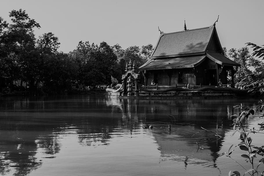 water, reflection, lake, river, nature, tree, building exterior HD wallpaper