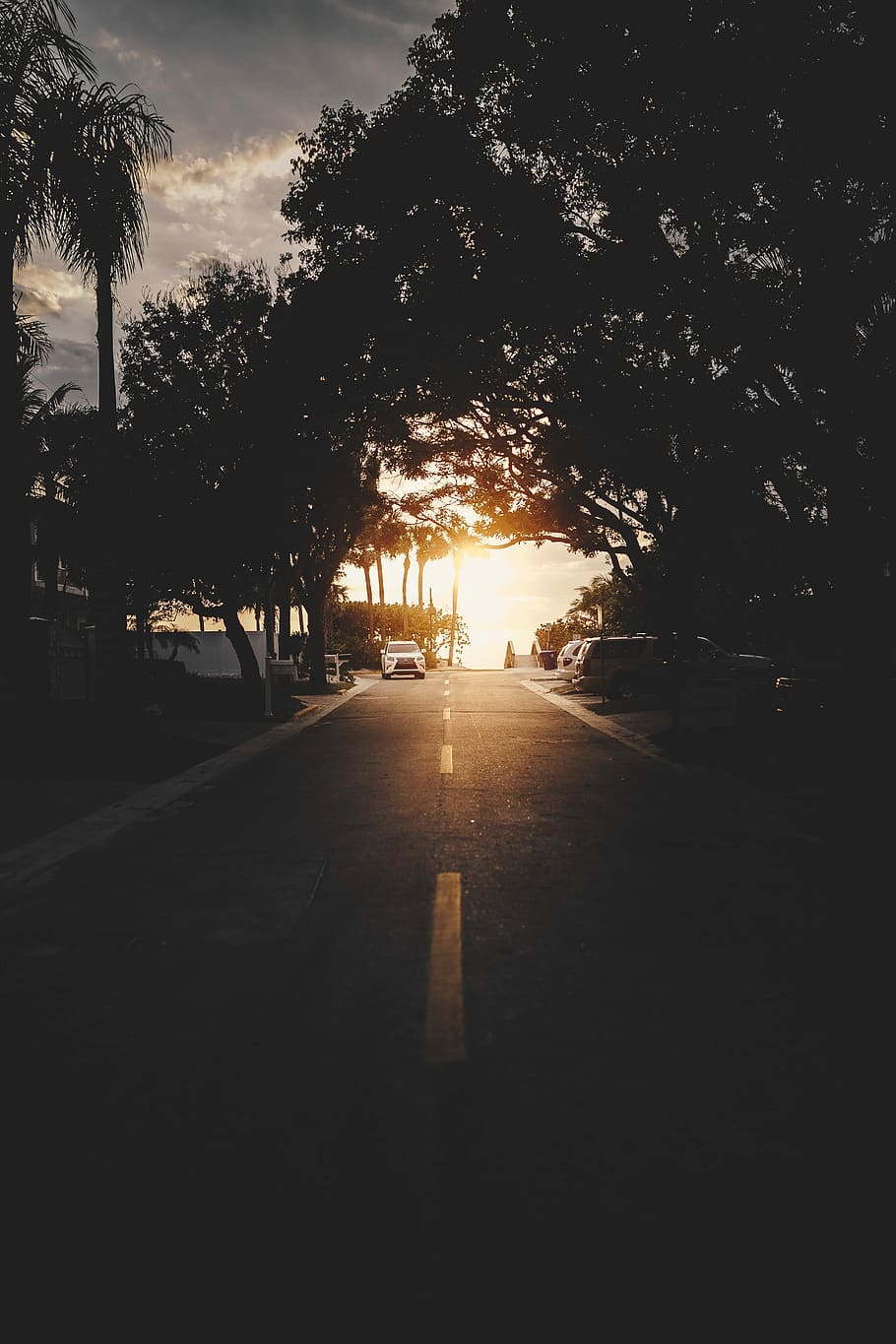 white card parked near tree, road between trees during sunrise HD wallpaper