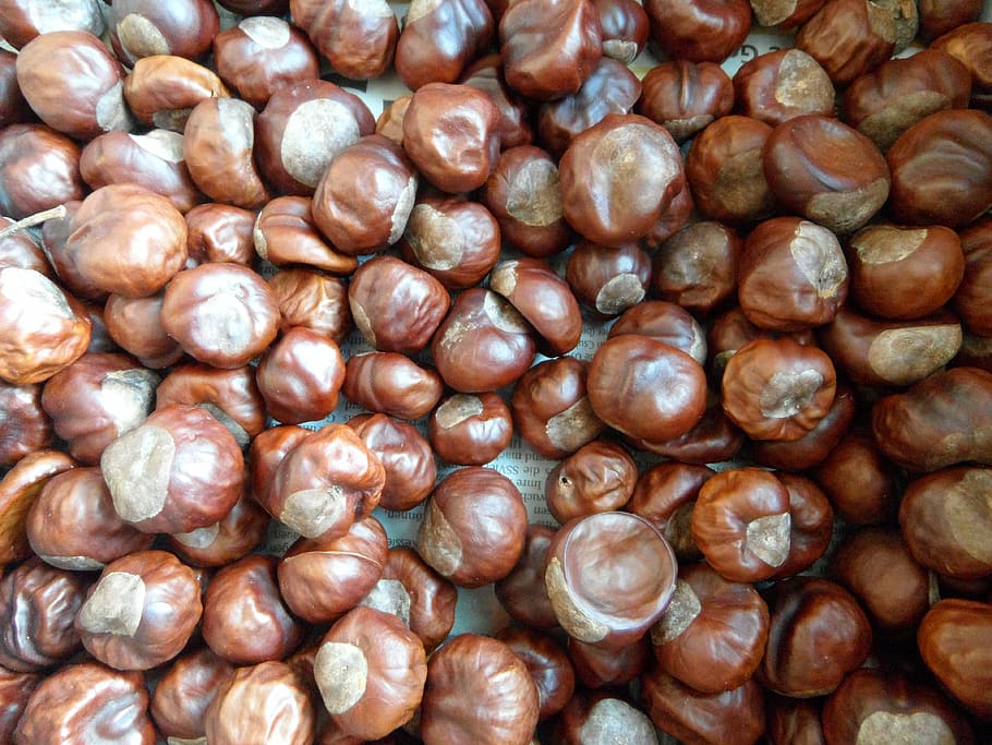 chestnut, background, quantitative, thong, dry, dried, food and drink HD wallpaper
