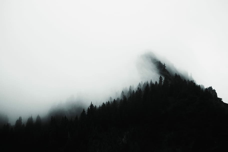 silhouette of mountain, nature, tree, fog, forest, landscape HD wallpaper