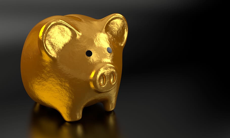 closeup photo of gold-colored pig figurine, piggy, bank, money