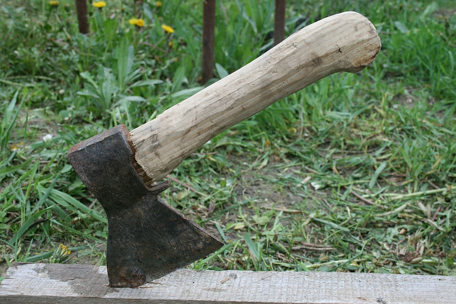 axe, tool, wood - material, tree, plant, no people, log, forest HD wallpaper