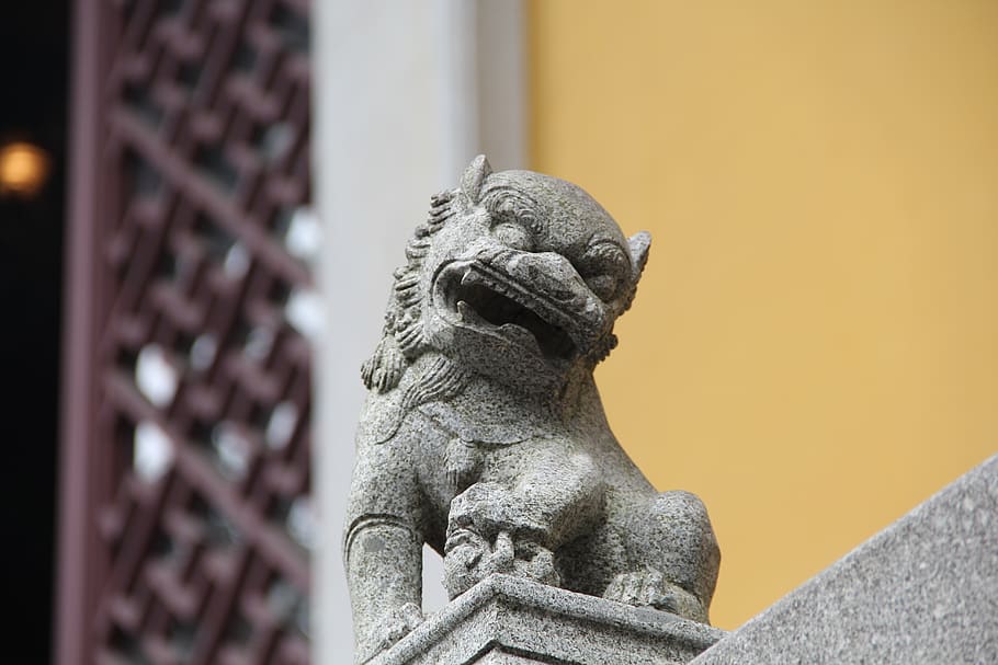 stone lion, cute, interesting, art and craft, sculpture, representation HD wallpaper