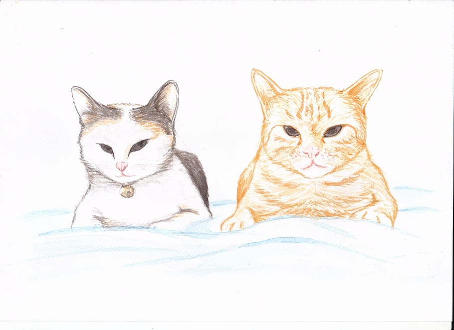 cat, painting, ginger, pair, domestic Cat, pets, animal, cute HD wallpaper