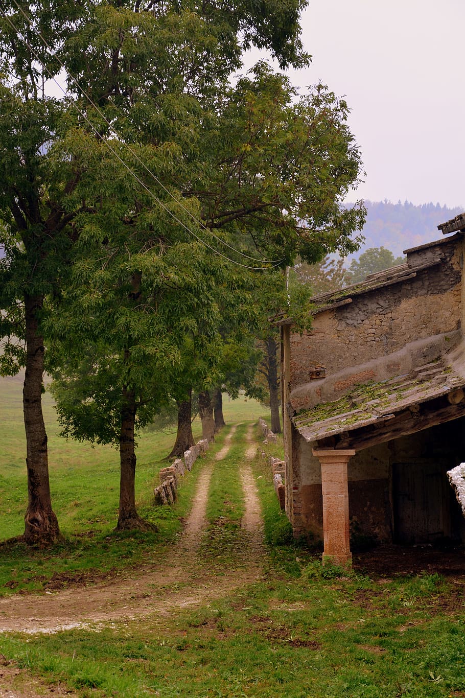 trail, via, trees, mountain, path, the european path, e5, lessinia HD wallpaper