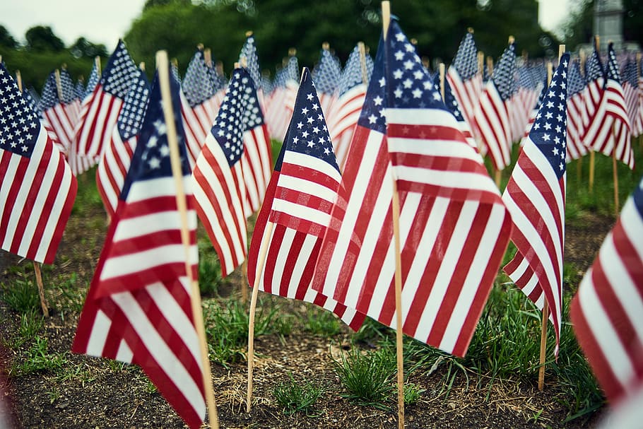 American flag lot, USA flag lot during daytime, Memorial Day, HD wallpaper