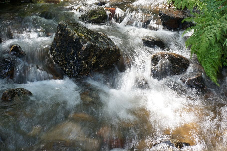 Still, Water, Restful, River, floating, stream, flowing, natural HD wallpaper