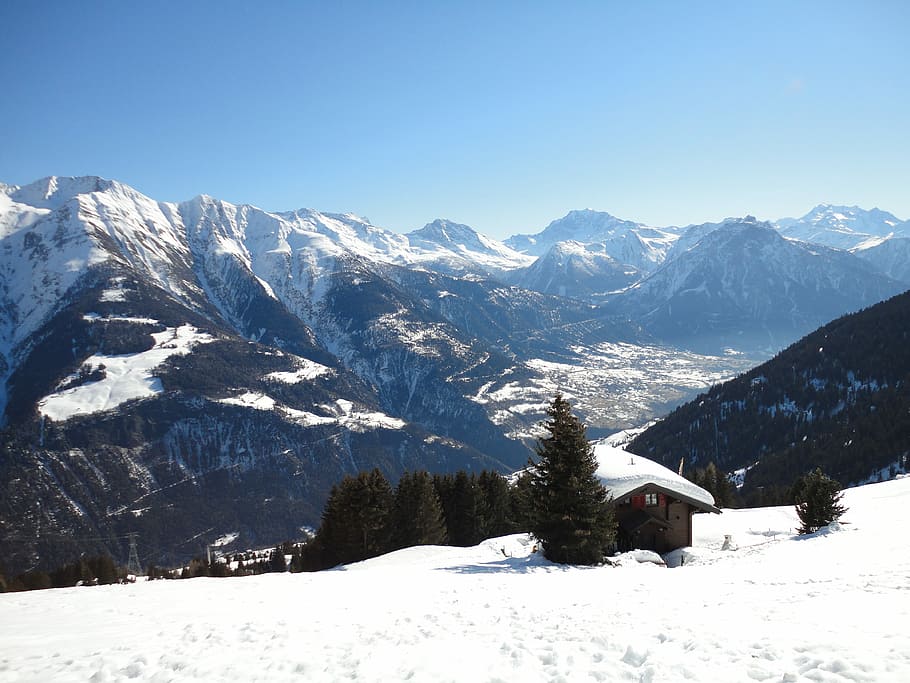 Snow, Winter, Mountain, Ice, Cold, White, frost, cold temperature HD wallpaper