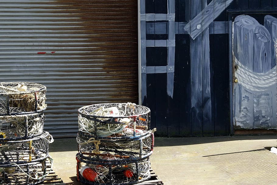 fishing, basket, trap, crabs, catch, equipment, sea, water HD wallpaper