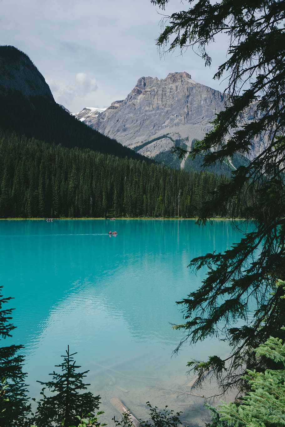 trees near body of water and mountain, gray personal watercraft on lake HD wallpaper