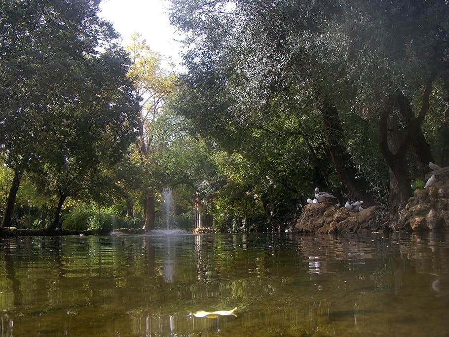 Spain, Stream, Lake, Water, Fountain, trees, nature, outside HD wallpaper