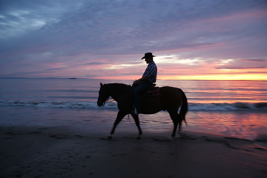 beach, sunset, cowboy, coast, sunset beach, colorful, red, sky HD wallpaper