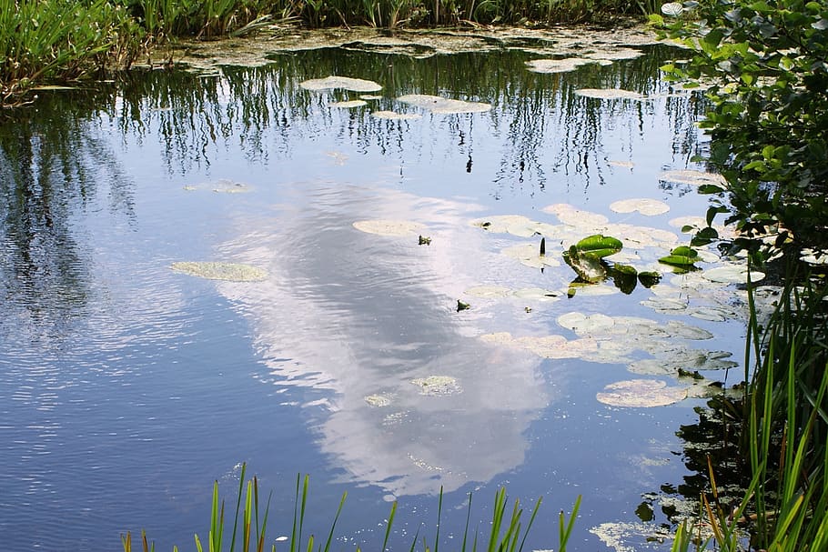 reflection, lake, cloud, sky, water, nature, blue, scenic, pond HD wallpaper